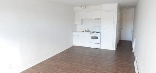 419-4333 de la Roche