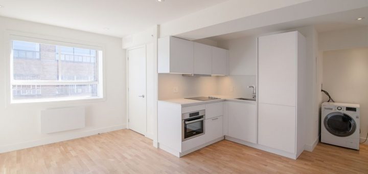 25 des Pins Ouest Montreal - Apartment for rent