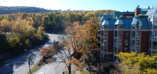 1 Cote-Sainte-Catherine Montreal for rent