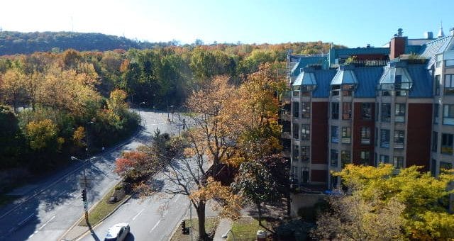 1 Cote-Sainte-Catherine Montreal for rent