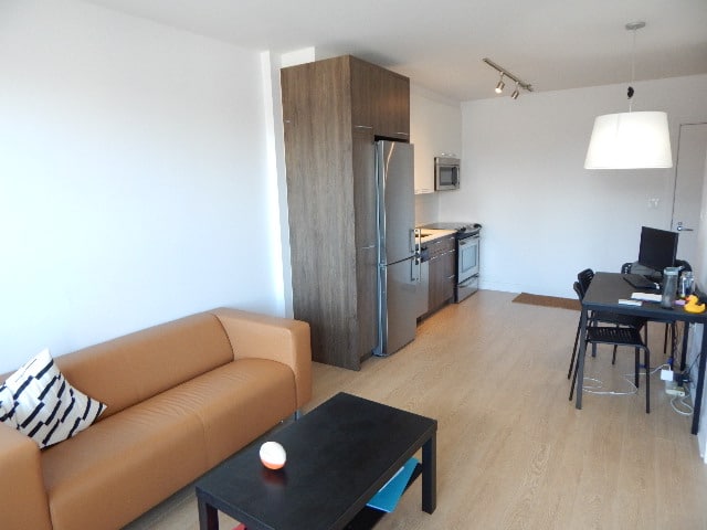 715 William Montreal Furnished condo for rent