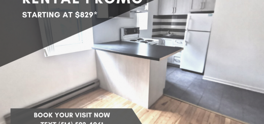 539 Prince Arthur Montreal - Rental Promo