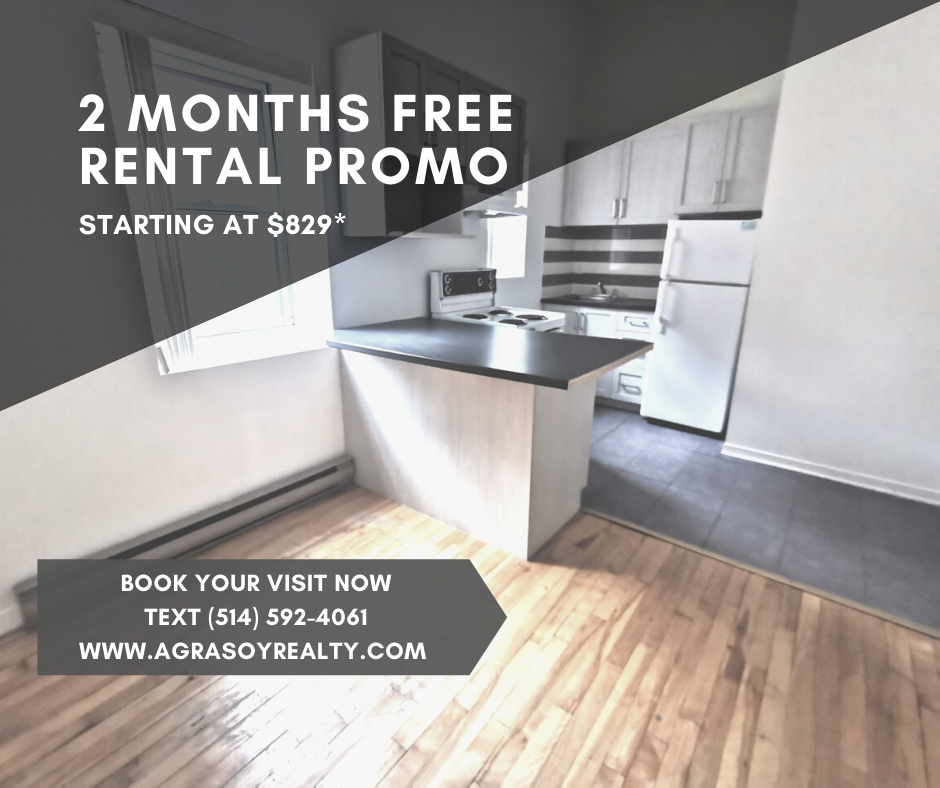 539 Prince Arthur Montreal - Rental Promo